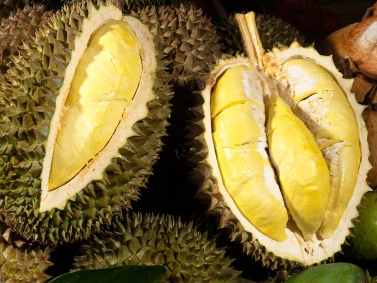 ăn sầu riêng có làm dày niêm mạc tử cung